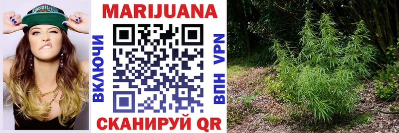 Канабис конопля  Дубовка 